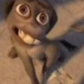 Profile image of ractilly