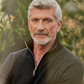 Profile image of Joe Lando