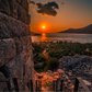 Profile image of Sunlight