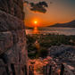 Profile image of Sunlight