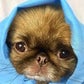 Profile image of Pekeaboo Maui