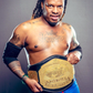 Profile image of Theo Ivory