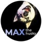 Profile image of MAX the HUSKY