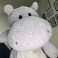 Profile image of Petunia Rocks
