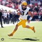 Profile image of Skyler Howard