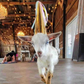 Profile image of NY Goat Yoga
