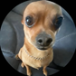 Profile image of Ted AKA ted2cool4u