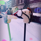 Profile image of Missy + Dino