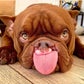 Profile image of Big Rig The Baby AKA Biggie 🥳