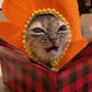 Profile image of Gumbus