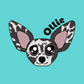 Profile image of Ollie