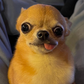 Profile image of Finonka