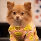Profile image of Pinky Lee