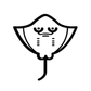 Profile image of TheSaltyStingRays