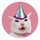 Profile image of The Khaleesi Cat
