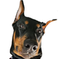 Profile image of VaderTheDobie