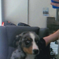 Profile image of MasterChad