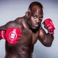Profile image of Melvin Manhoef