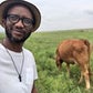 Profile image of David Kau