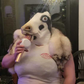 Profile image of Starburst the Cow