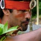 Profile image of Ryan Johnson