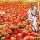 Profile image of Darryl Strawberry