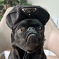 Profile image of TheFizzyCola