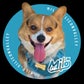 Profile image of Milo