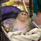 Profile image of MonkeyPaisley