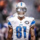 Profile image of Calvin Johnson Jr. aka Megatron