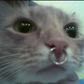 Profile image of l1vonline