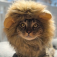 Profile image of The Loki Show