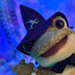 Profile image of Wizard Frog