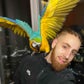 Profile image of BirdMan