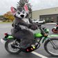 Profile image of Shane Deepwood