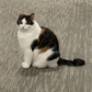 Profile image of Elie