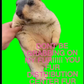 Profile image of SweetBallasCorporation