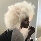 Profile image of Shea Diamond