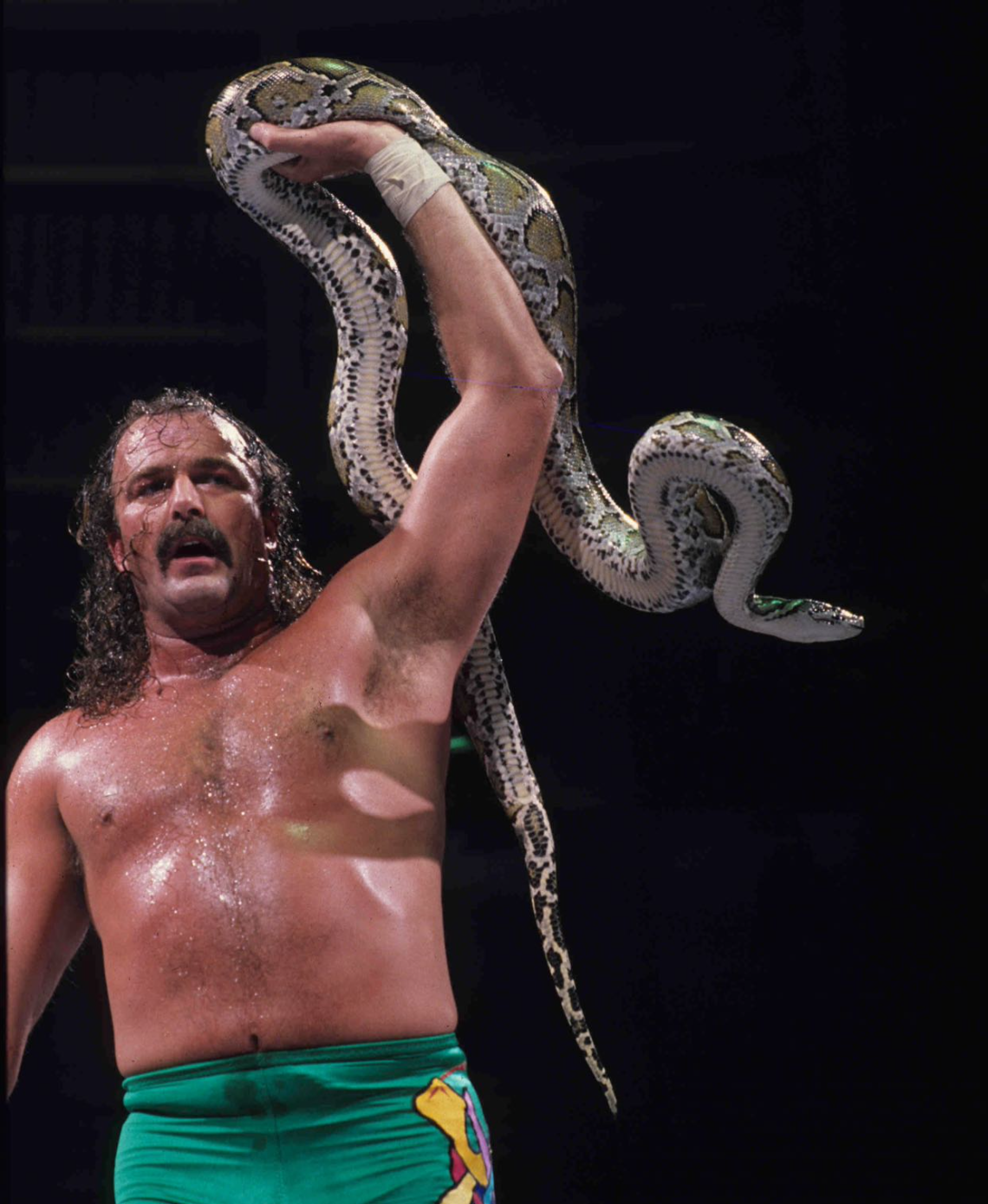 Jake The Snake Roberts