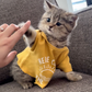 Profile image of King Luka Meow