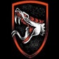 Profile image of c7viper