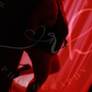 Profile image of Luna Yorkshire rose
