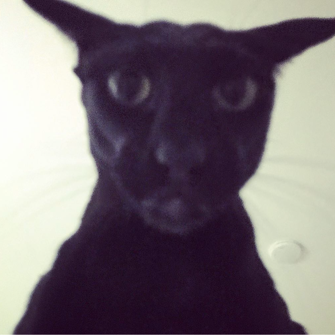Evil Larry
