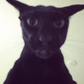 Profile image of Evil Larry