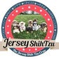 Profile image of Jersey Shih Tzu