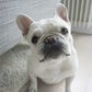 Profile image of Lola Barksdale
