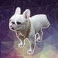 Profile image of Pardon Thy French