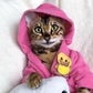 Profile image of Angel Bengal