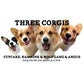 Profile image of Cute Three Corgis of Instagram