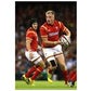 Profile image of Gareth Anscombe